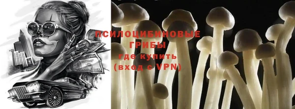 МДПВ Пересвет